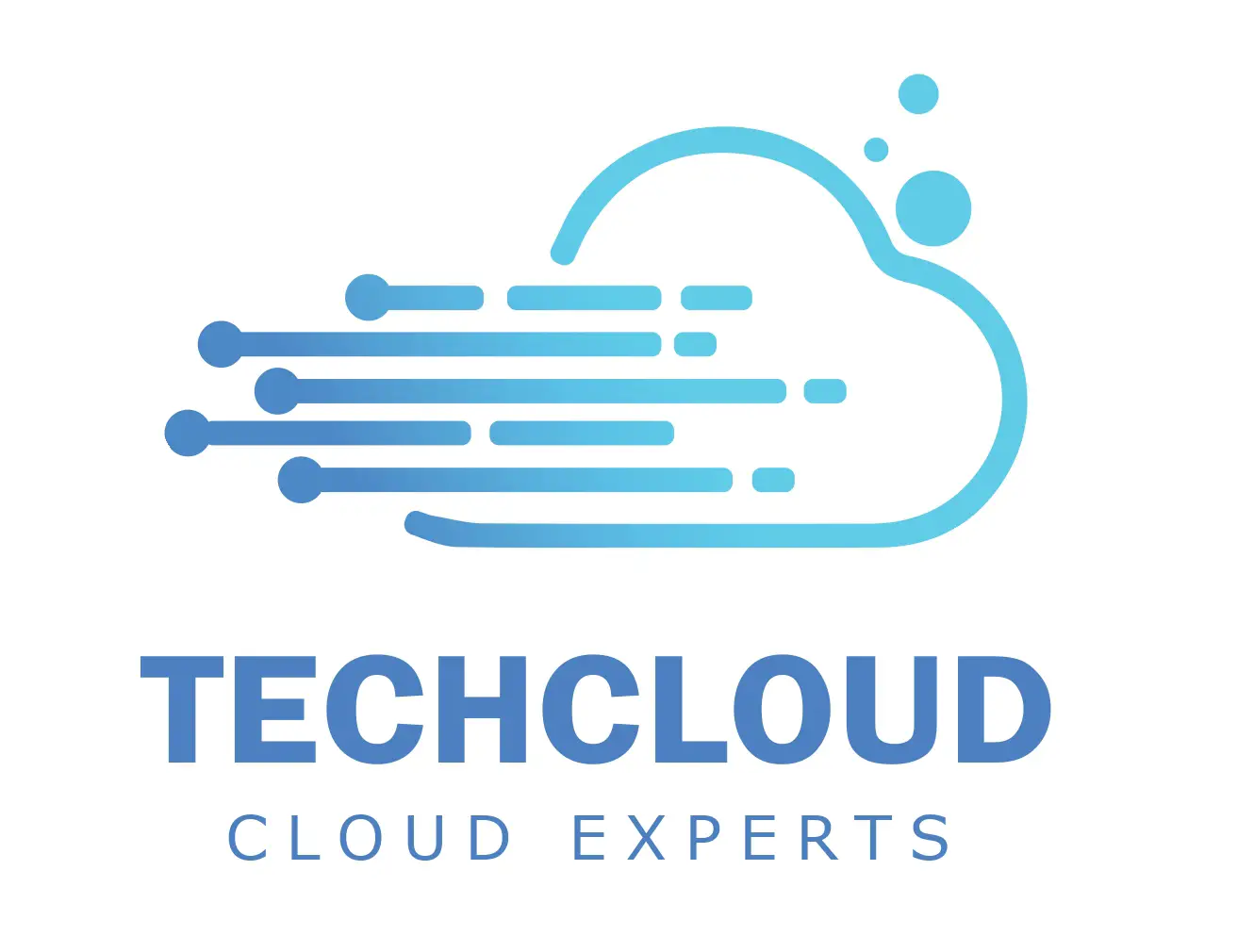 TechCloud IT Services LLC